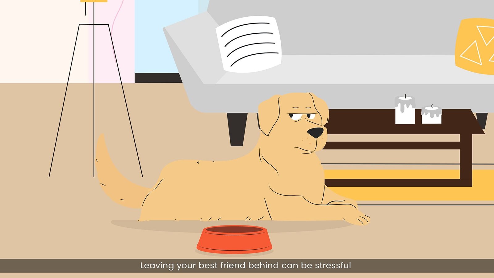 Pawsitive Paws storyboard frame 1